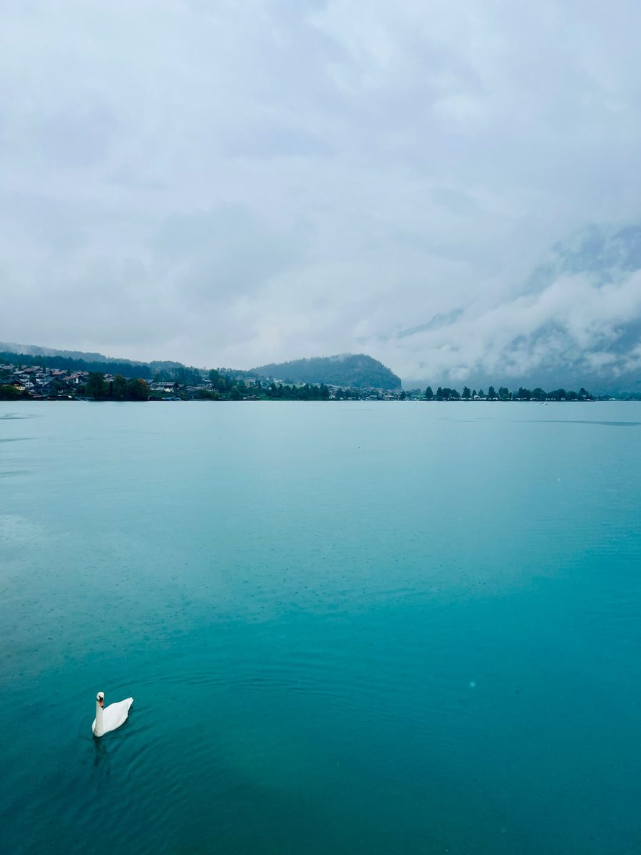 Fine art photograph by The Shot Photography